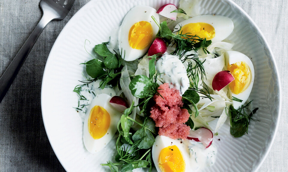 Opskrift på Salat med stenbiderrogn og dildcreme