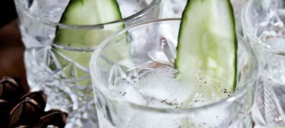 Gin og tonic med agurk
