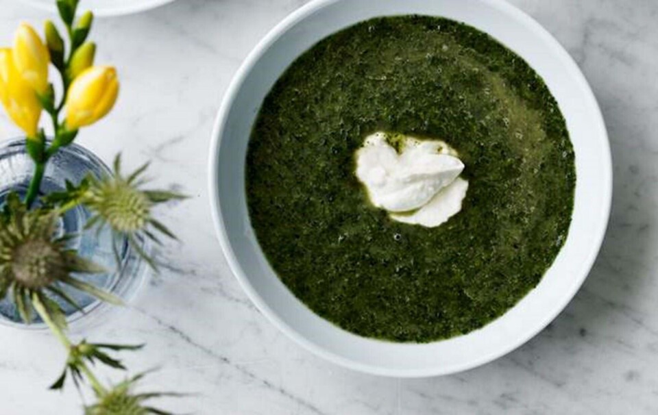 Sådan laver du brændenældesuppe med citronyoghurt