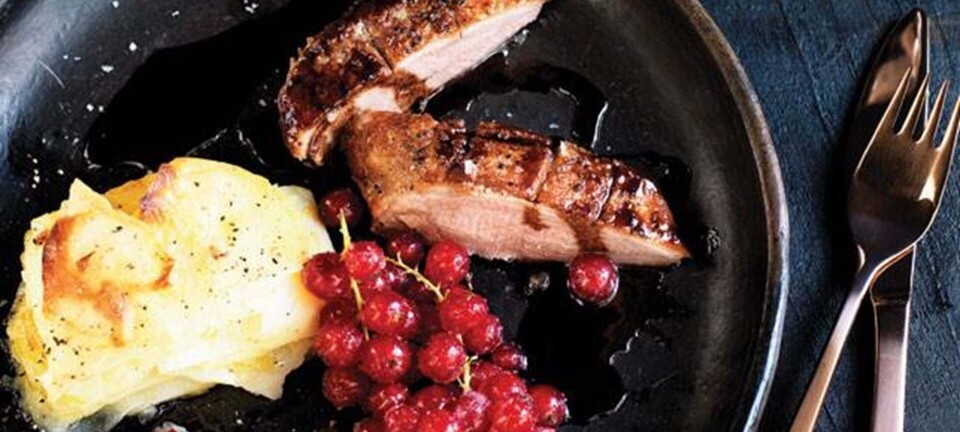 Nana Frolov: Andebryst med pommes anna, rysteribs og sauce