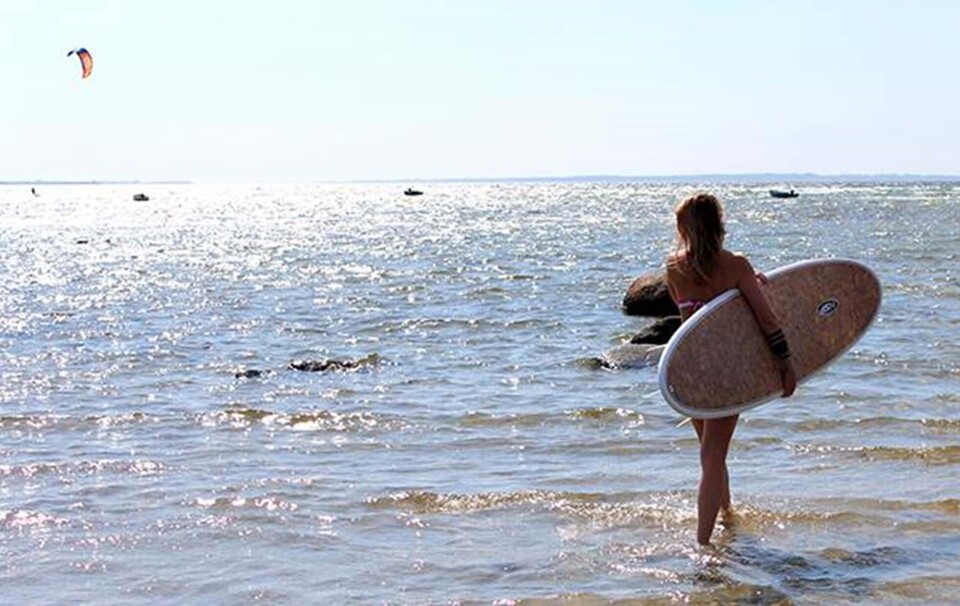 surf guide for begyndere