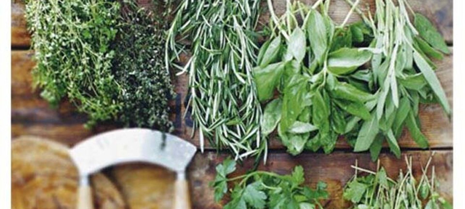 Siciliansk pesto opskrift