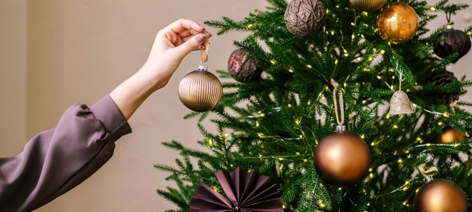 5 tips til dit bæredygtige juletræ