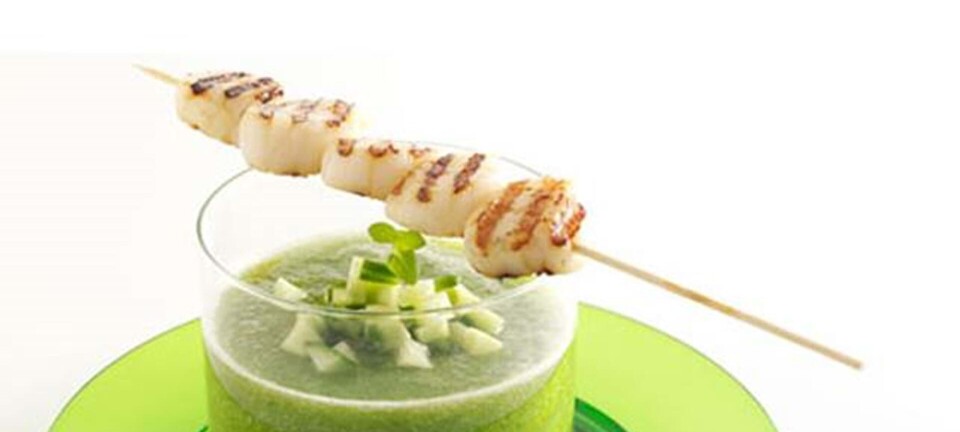 Iskold suppe med grillede kammuslinger