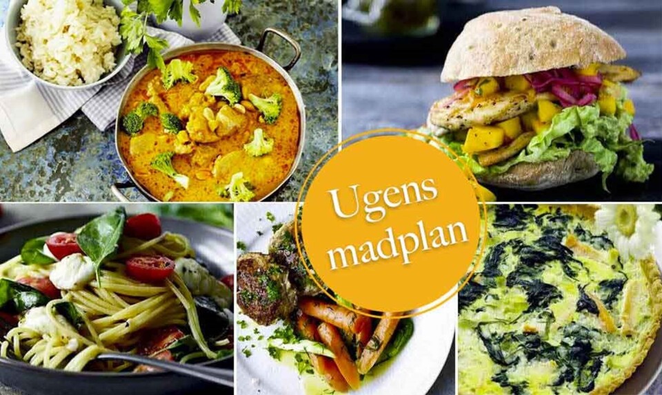 madplan med indkøbsliste og opskrifter
