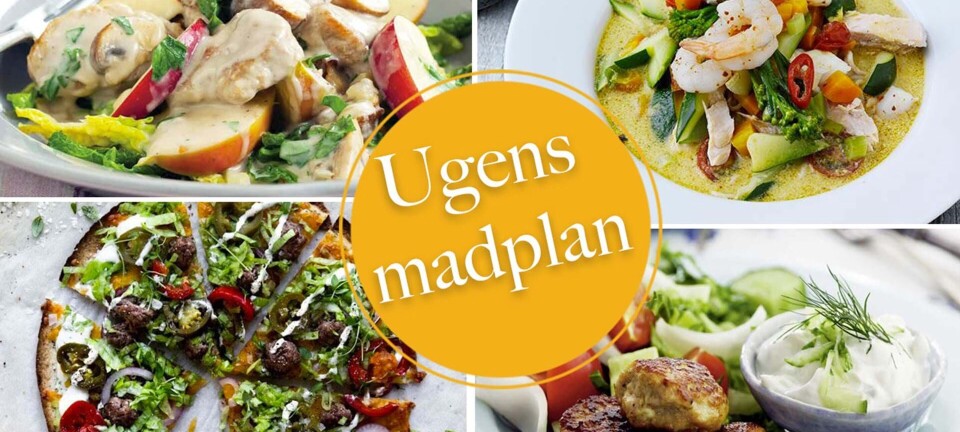 Nem mad til hele ugen: Tortillas, asiatisk fiskesuppe & skønne græske frikadeller