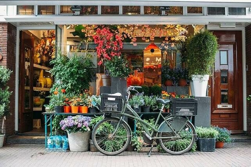 9 ting du skal opleve på weekend i Amsterdam