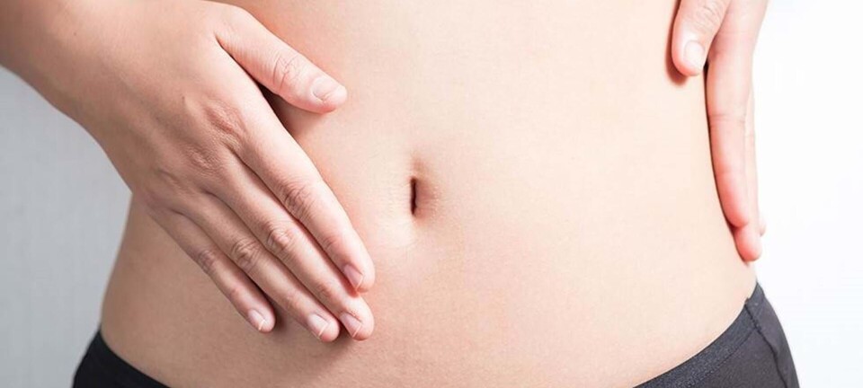 Det mener eksperterne om bogen 'Tarme i topform'