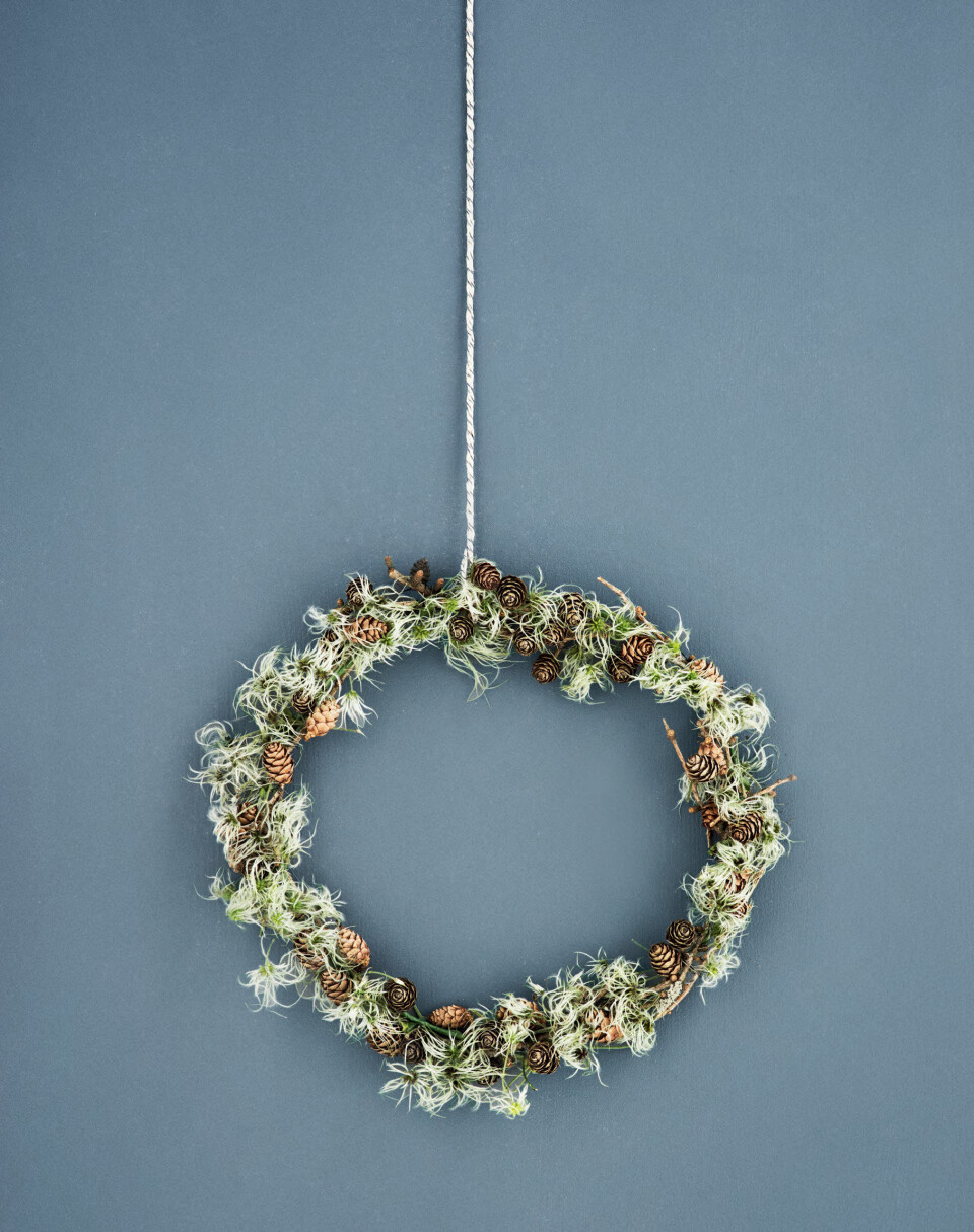 Dørkrans med kogler