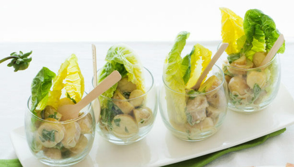 kartoffelsalat.jpg