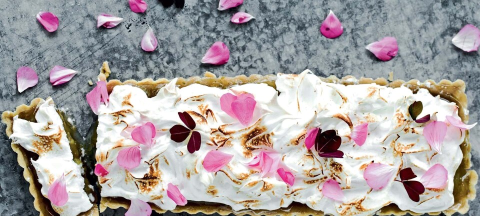 Stikkelsbærtærte med marengs og pelargonie