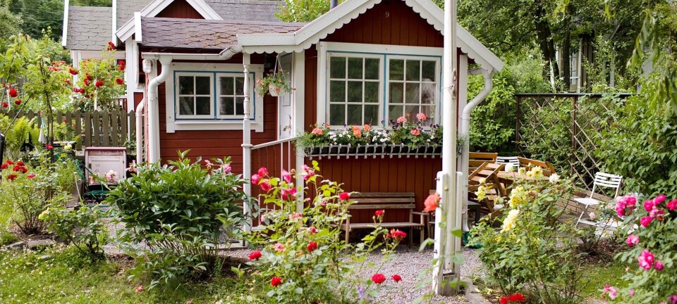 11 ting du skal vide, når du køber kolonihavehus