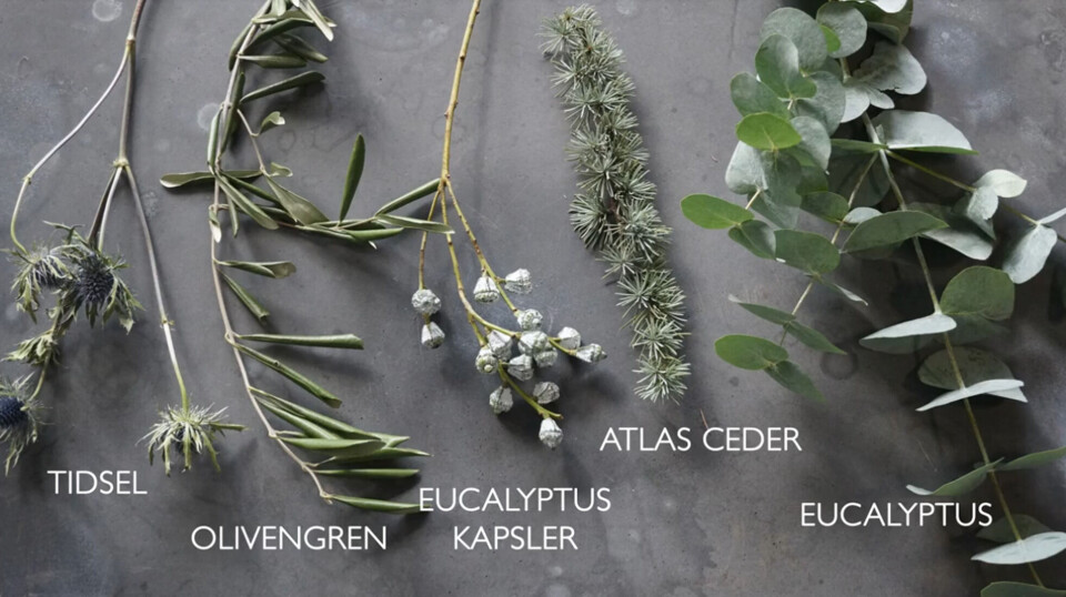 Afskårne planter