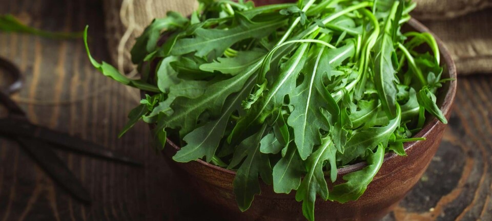 Boost din fordøjelse med disse fødevarer