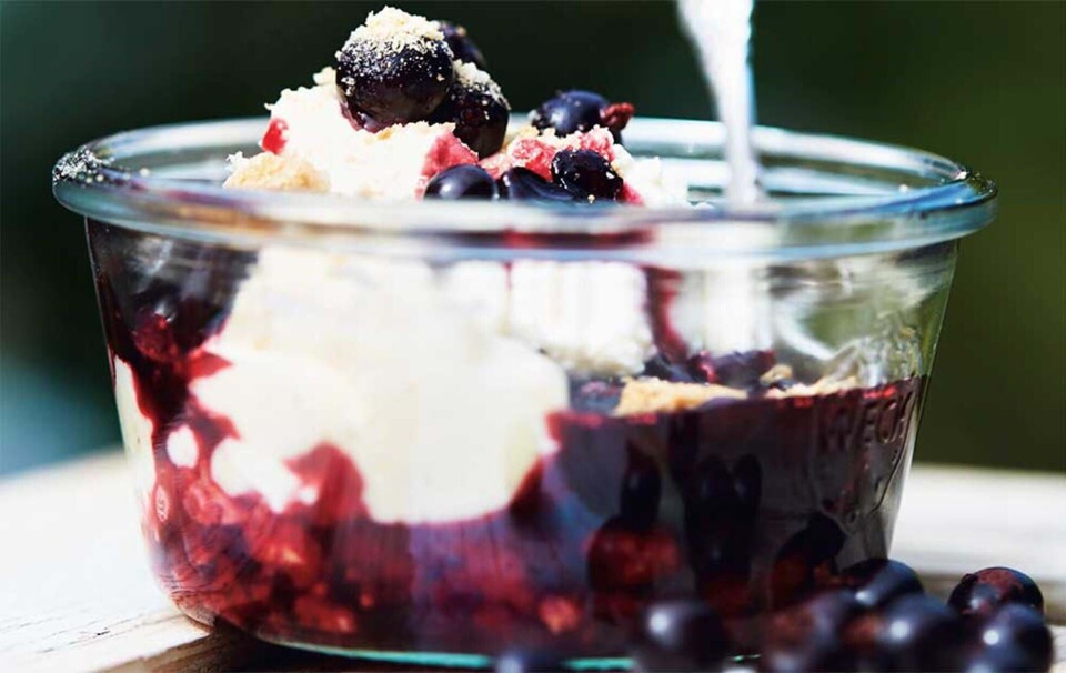 Solbærtrifli med hvid chokolade