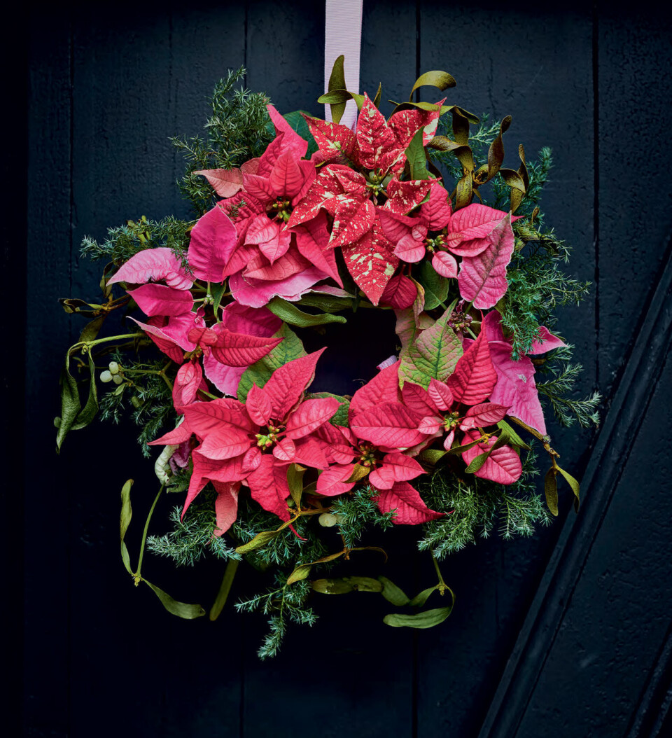 Dørkrans med julestjerner