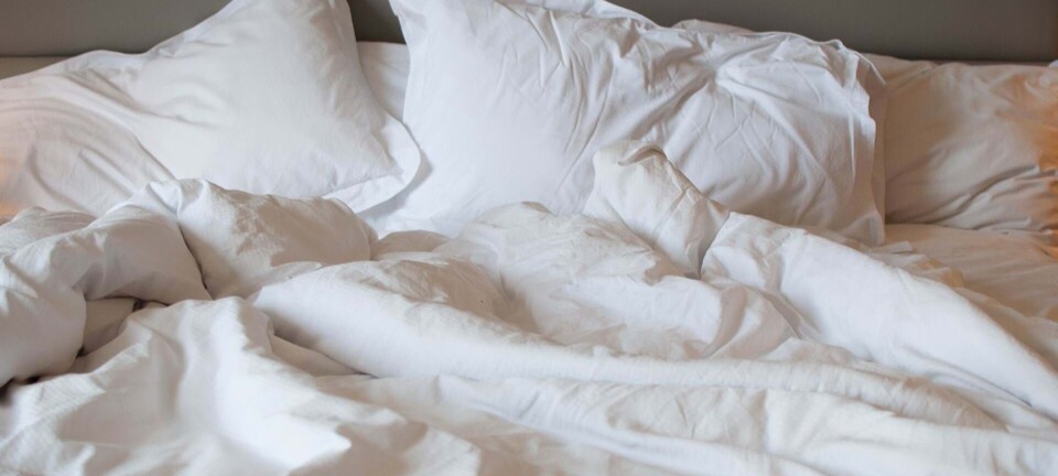 Ekspert fortæller: Så ofte skal du i virkeligheden skifte sengetøj