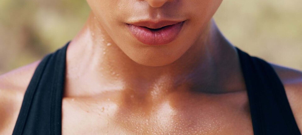 Sådan måler du din maxpuls