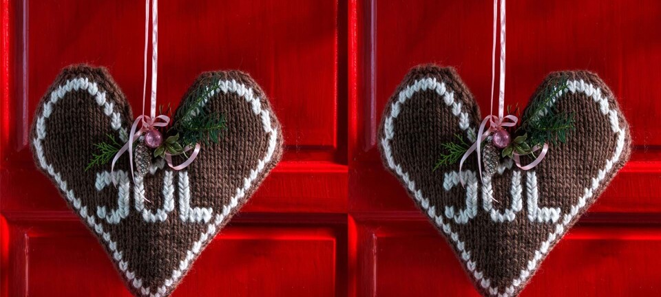 Hjemmestrikket bagvĂŠrk til jul