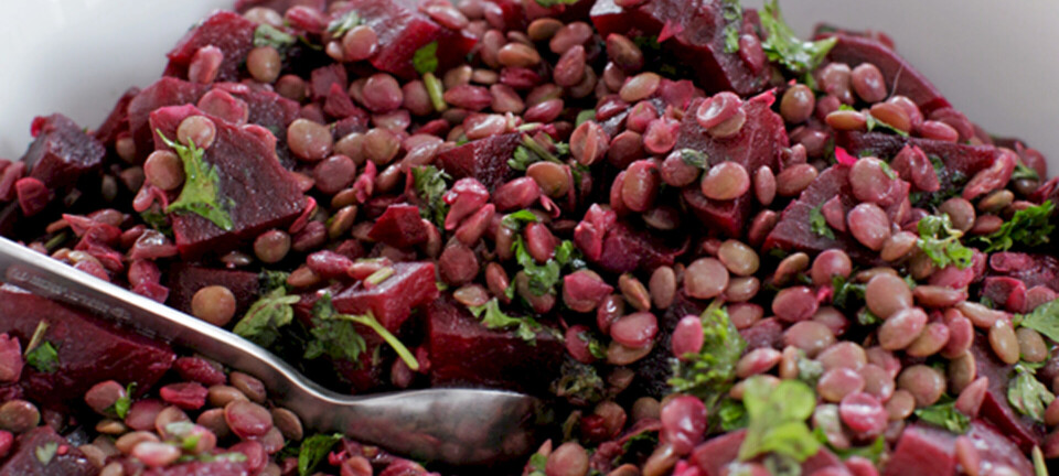 Rødbede-linse-salat
