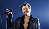Nu kan du studere 'Harry Styles' på universitet