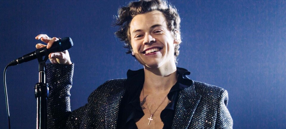 Nu kan du studere 'Harry Styles' på universitet
