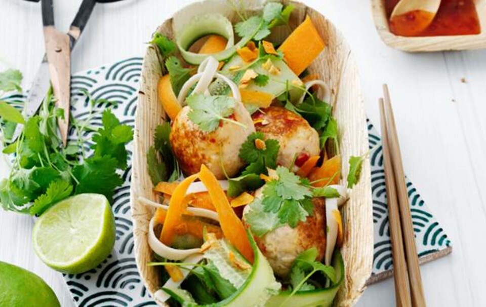 asiatiske kødboller & nudelsalat