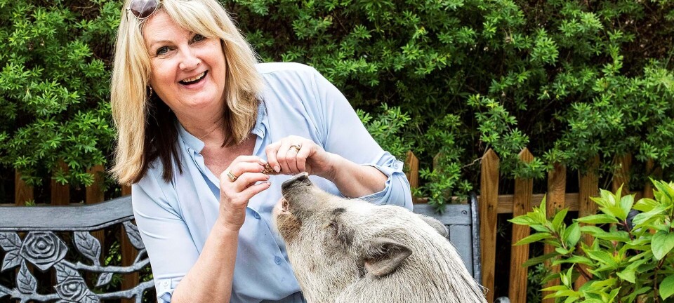 Suzanne Berdino er født ind i Cirkus Arena, men forlod det som 43-årig: ”Jeg var en pige, så det ville aldrig blive mit”