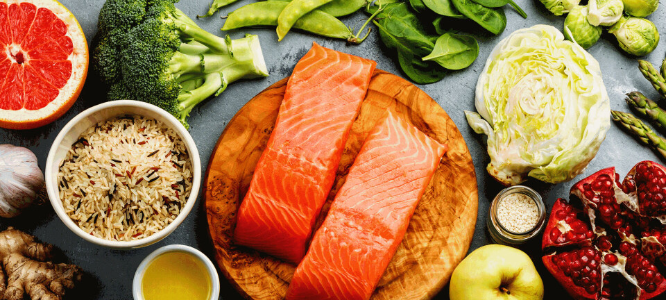 Så meget protein er der i de forskellige fødevarer