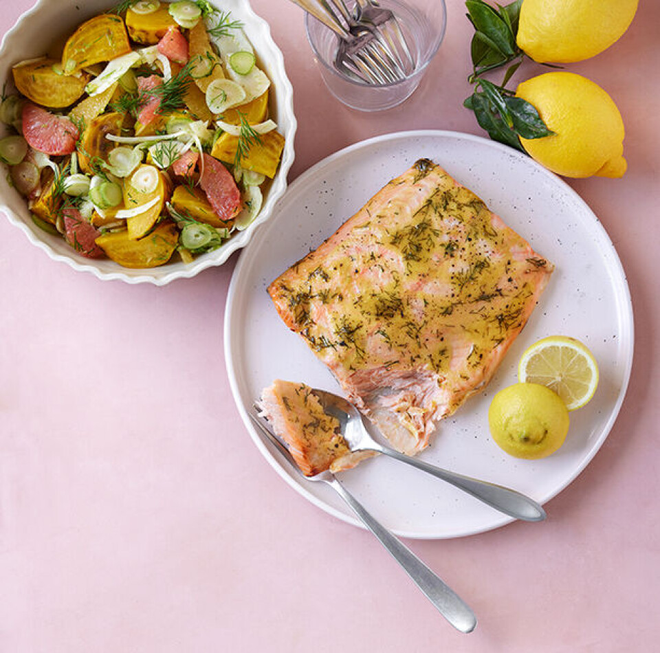 Citronbagt laks med fennikel-bede-citrussalat
