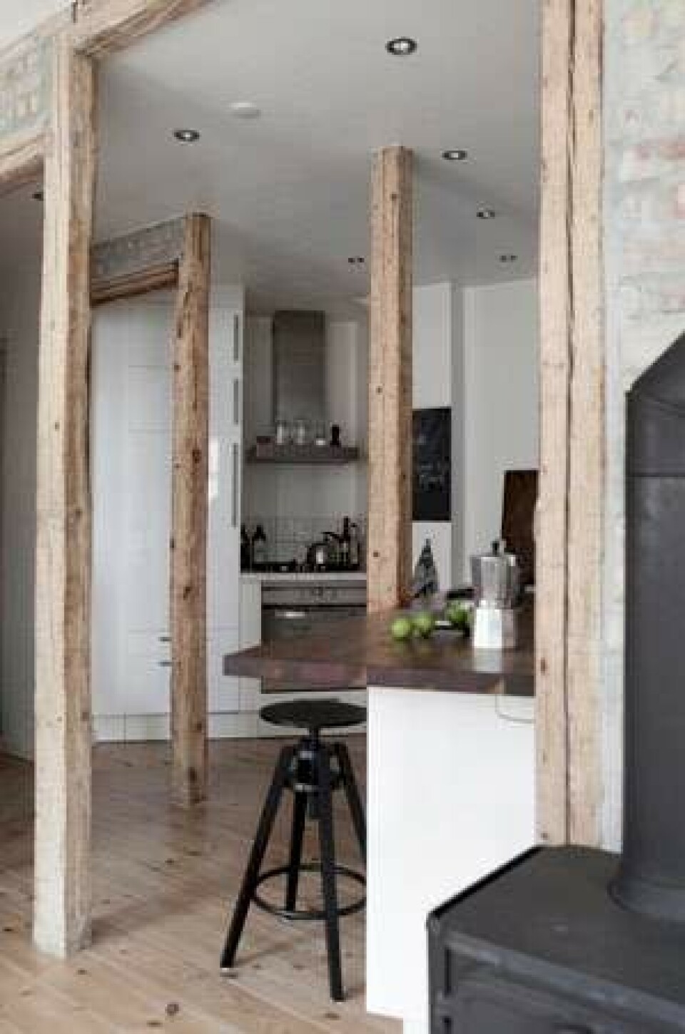 Bolig: Naturelementer på Nørrebro