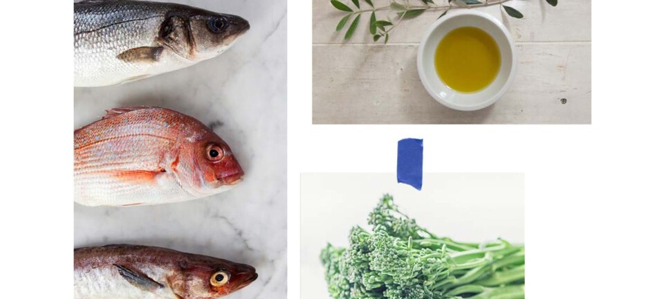 Det mener eksperterne om KETO