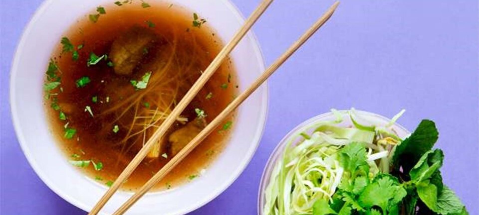 Nudelsuppe med oksekød, kål og krydderurter