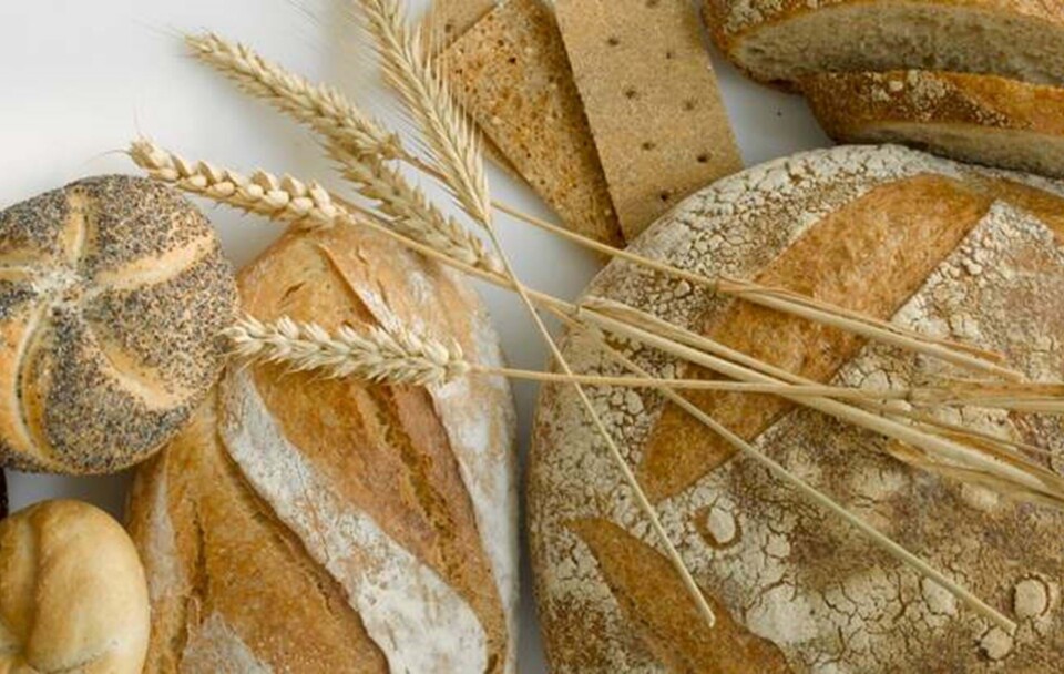 Glutenallergi & cøliaki