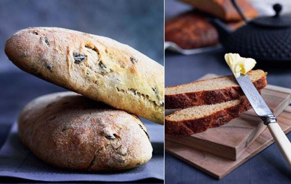 Det daglige brød: Ciabatta, sirupsbrød, müslibrød & koldhævede speltboller