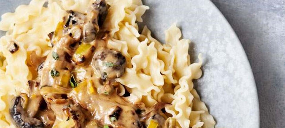 Pasta med cremet sauce og svampe