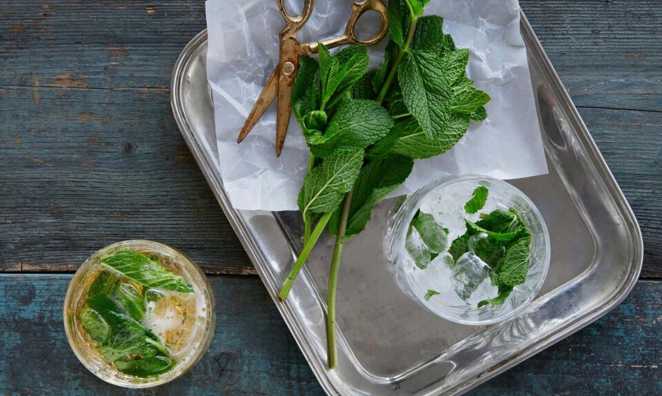 Skøn juledrink: Mint julep