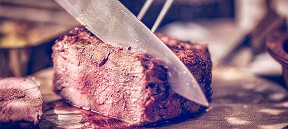 'Vi kommer til at se på kødspisere, som vi ser på rygere nu'