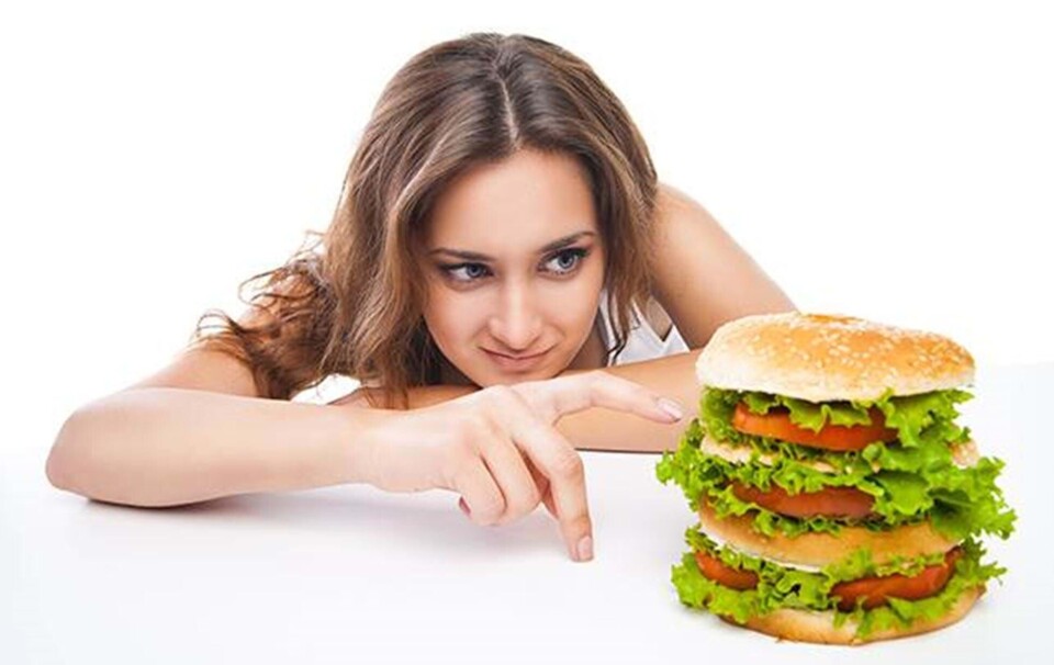 Junkfood Alzheimers