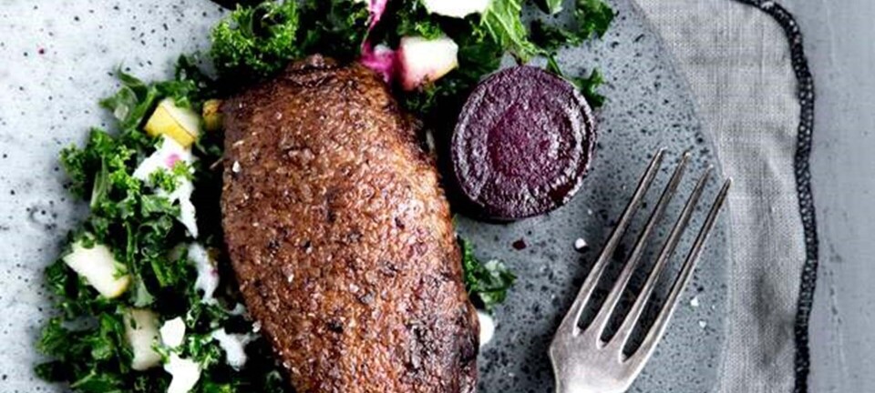 Gråand med letsyltede rødbeder, grønkål og peberrodsfløde