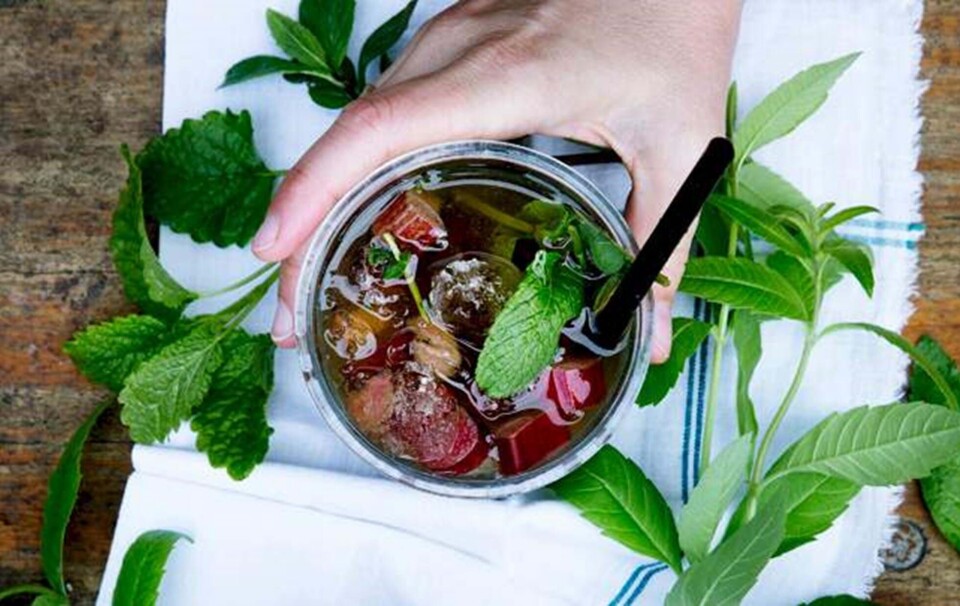 Sådan laver du mojitos med rabarber og citronverbena