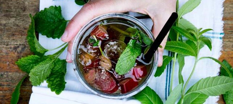 Mojito med rabarber og citronverbena