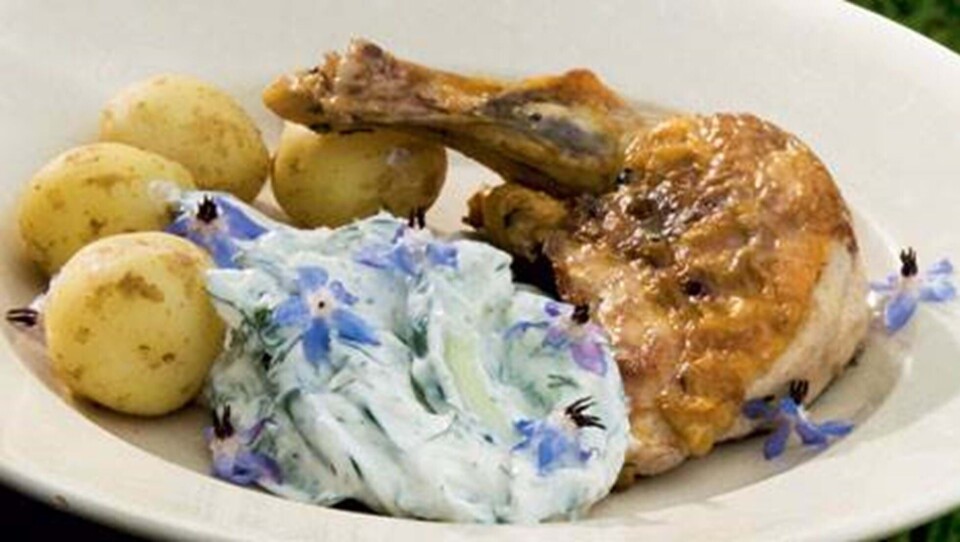 Agurkesalat med hjulkrone