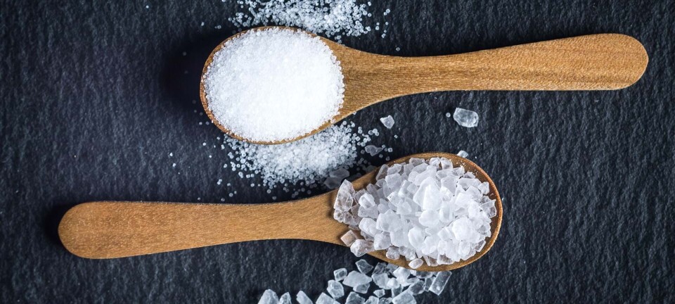 Hvor meget salt må man spise om dagen?