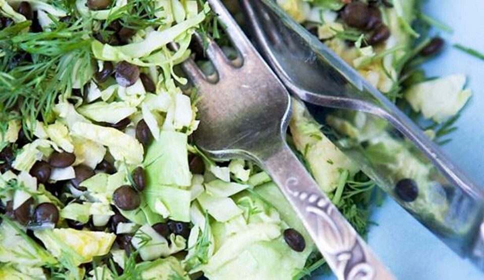 Opskrift på linser med rosenkål, avocado og dild