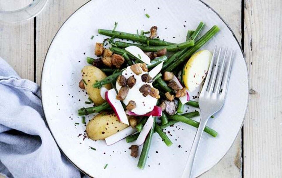 Bønnesalat med hvidløgs-yoghurt, sumak og bacon