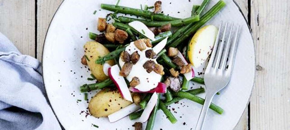 Bønnesalat med hvidløgs-yoghurt, sumak og bacon
