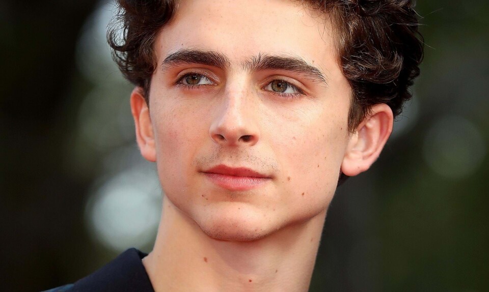 Timothée Chalamet
