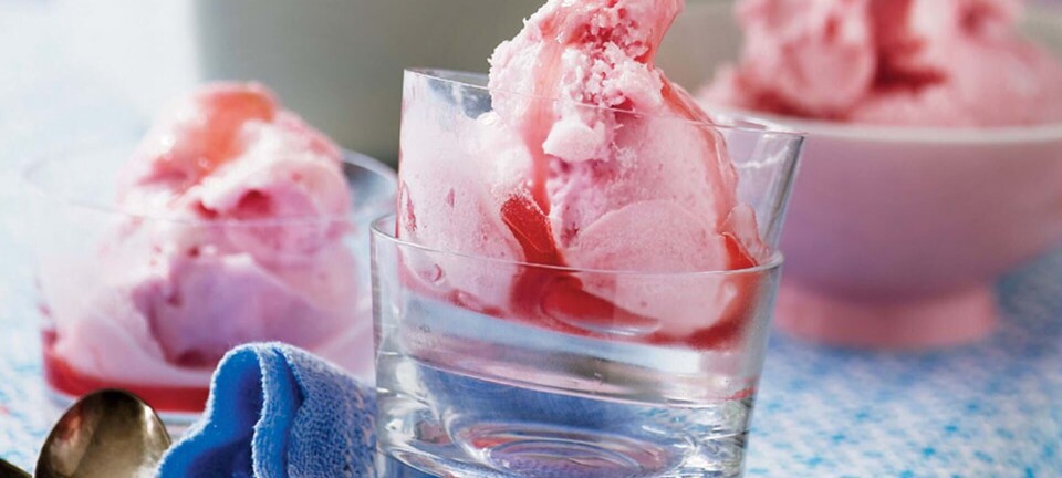 Rabarbersorbet
