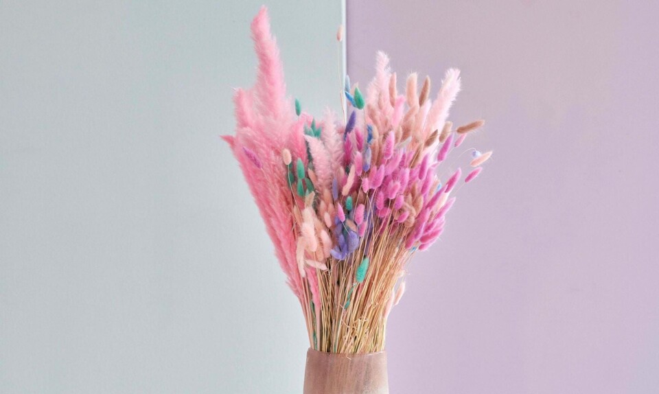Poppykalas blomster